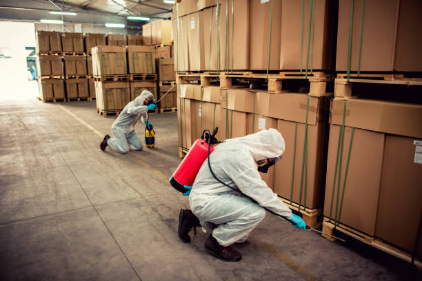 Best Affordable Pest Control Services  in Port Allen, LA