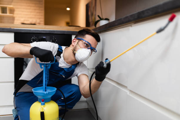 Best Ant Control Services  in Port Allen, LA