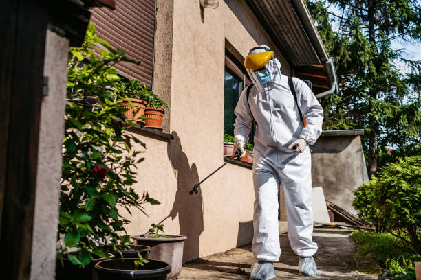 Best Bed Bug Extermination  in Port Allen, LA