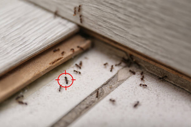 Port Allen, LA Pest Control Company