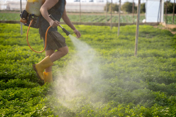 Best Pest Removal Services  in Port Allen, LA
