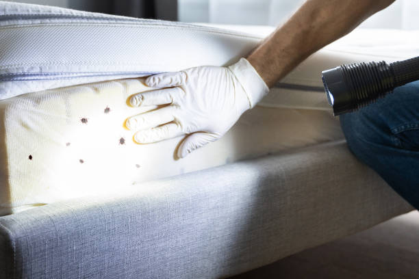 Best Pest Control for Restaurants  in Port Allen, LA