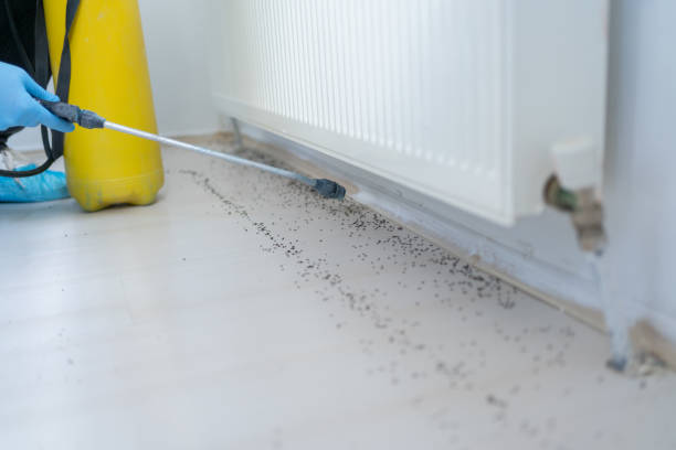 Best Residential Pest Control  in Port Allen, LA
