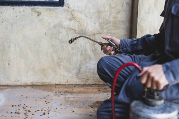 Pest Control for Restaurants in Port Allen, LA
